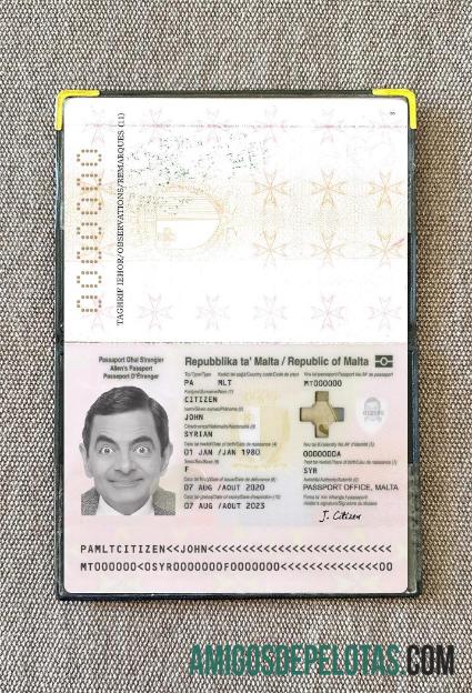 Photolook do presente do passaporte de Malta 2020 baixar para verificação